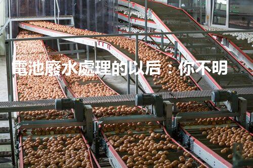 電池廢水處理的以后：你不明白的綠色革命！